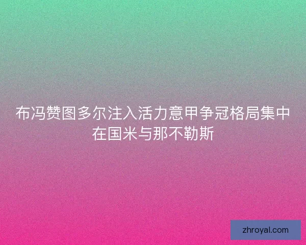 布冯赞图多尔注入活力意甲争冠格局集中在国米与那不勒斯